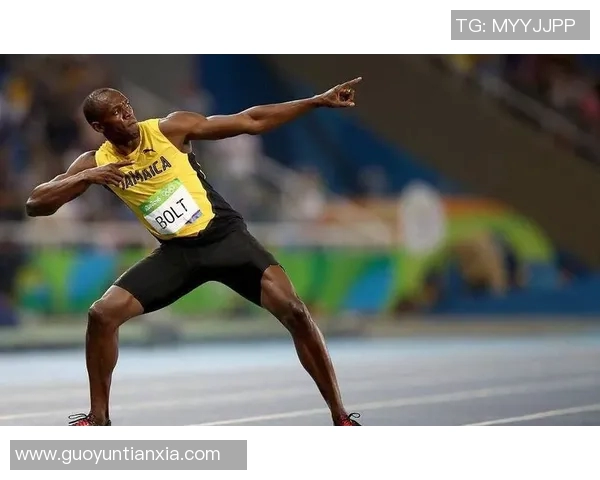 波斯尼亚体育明星排名榜揭晓他们在国际舞台上的辉煌成就与影响力